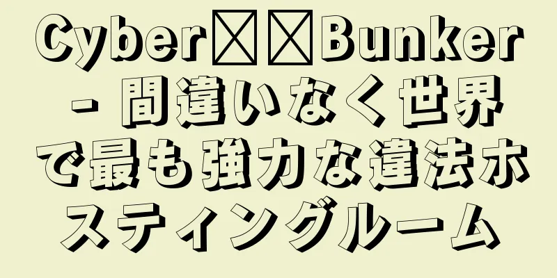 Cyber​​Bunker - 間違いなく世界で最も強力な違法ホスティングルーム