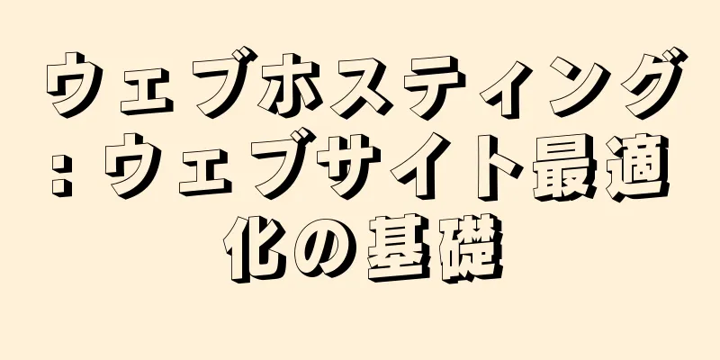 ウェブホスティング: ウェブサイト最適化の基礎