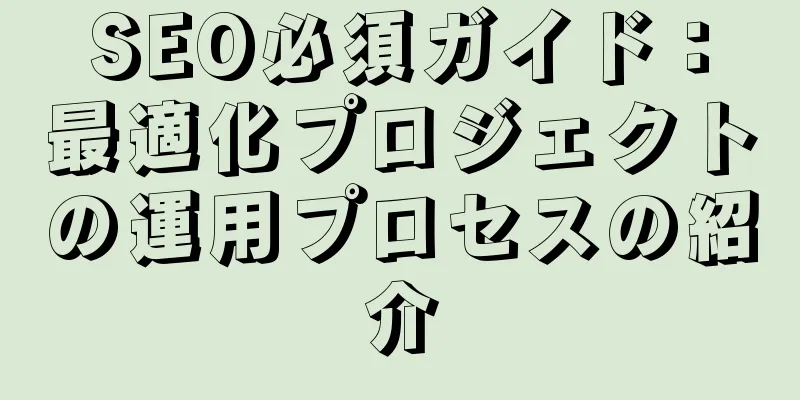 SEO必須ガイド：最適化プロジェクトの運用プロセスの紹介