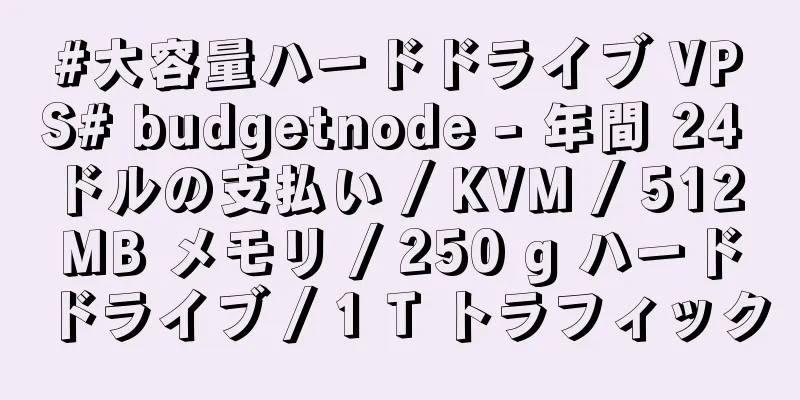 #大容量ハードドライブ VPS# budgetnode - 年間 24 ドルの支払い / KVM / 512 MB メモリ / 250 g ハードドライブ / 1 T トラフィック