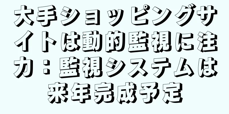大手ショッピングサイトは動的監視に注力：監視システムは来年完成予定