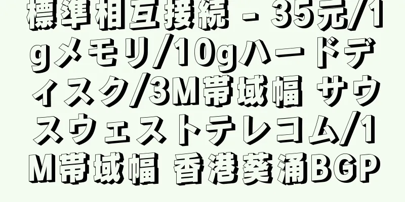 標準相互接続 - 35元/1gメモリ/10gハードディスク/3M帯域幅 サウスウェストテレコム/1M帯域幅 香港葵涌BGP