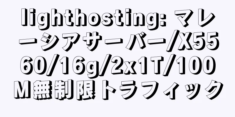 lighthosting: マレーシアサーバー/X5560/16g/2x1T/100M無制限トラフィック