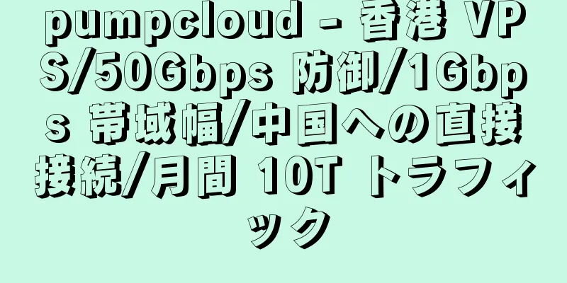 pumpcloud - 香港 VPS/50Gbps 防御/1Gbps 帯域幅/中国への直接接続/月間 10T トラフィック