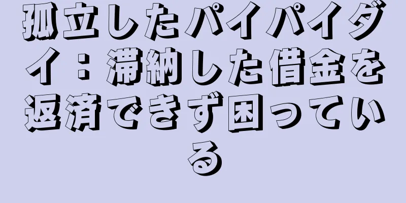 孤立したパイパイダイ：滞納した借金を返済できず困っている