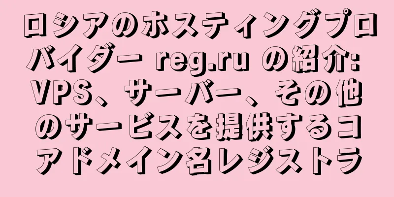 ロシアのホスティングプロバイダー reg.ru の紹介: VPS、サーバー、その他のサービスを提供するコアドメイン名レジストラ