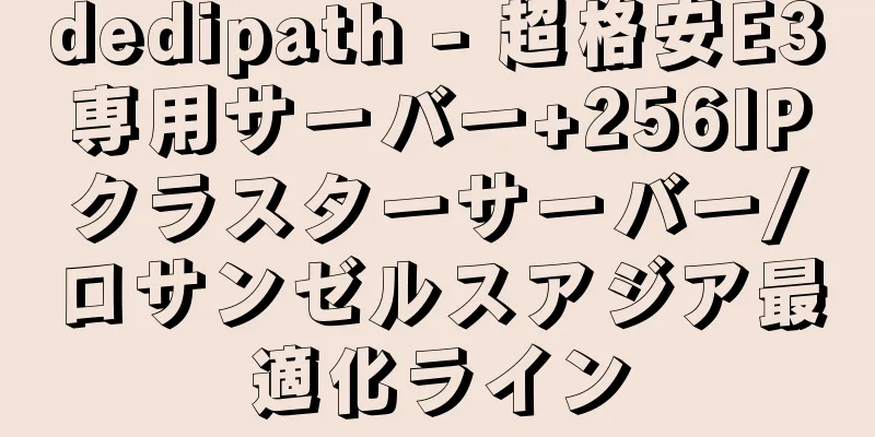 dedipath - 超格安E3専用サーバー+256IPクラスターサーバー/ロサンゼルスアジア最適化ライン
