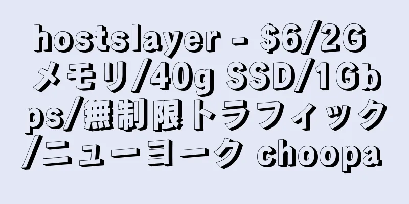 hostslayer - $6/2G メモリ/40g SSD/1Gbps/無制限トラフィック/ニューヨーク choopa
