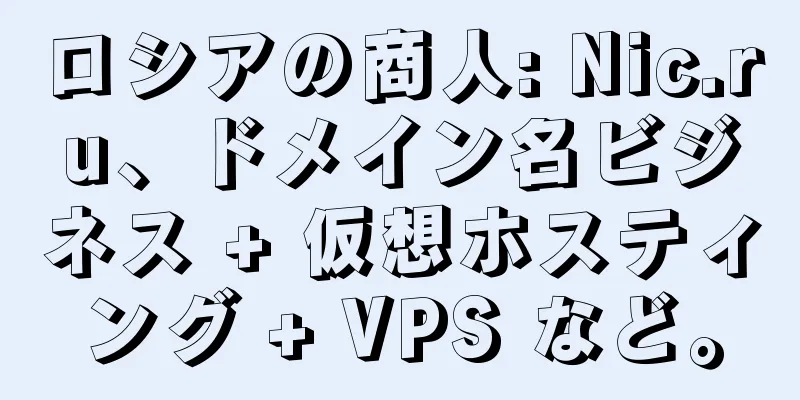 ロシアの商人: Nic.ru、ドメイン名ビジネス + 仮想ホスティング + VPS など。
