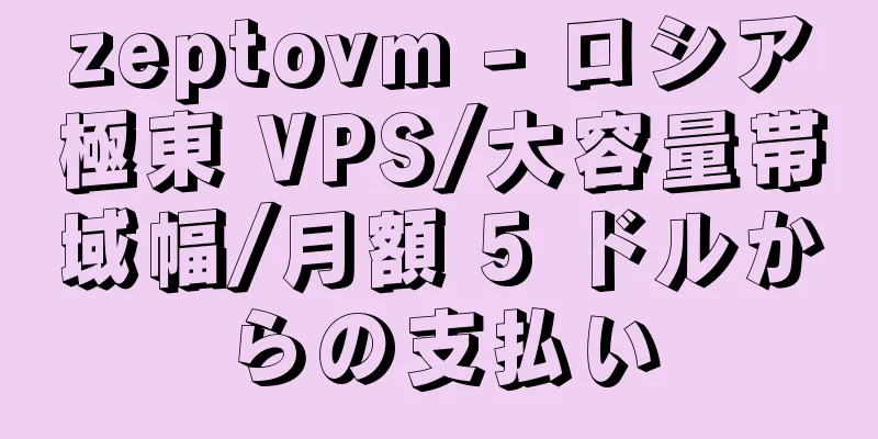 zeptovm - ロシア極東 VPS/大容量帯域幅/月額 5 ドルからの支払い