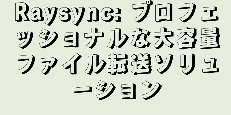 Raysync: プロフェッショナルな大容量ファイル転送ソリューション