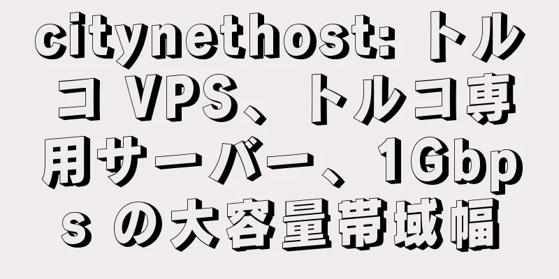 citynethost: トルコ VPS、トルコ専用サーバー、1Gbps の大容量帯域幅