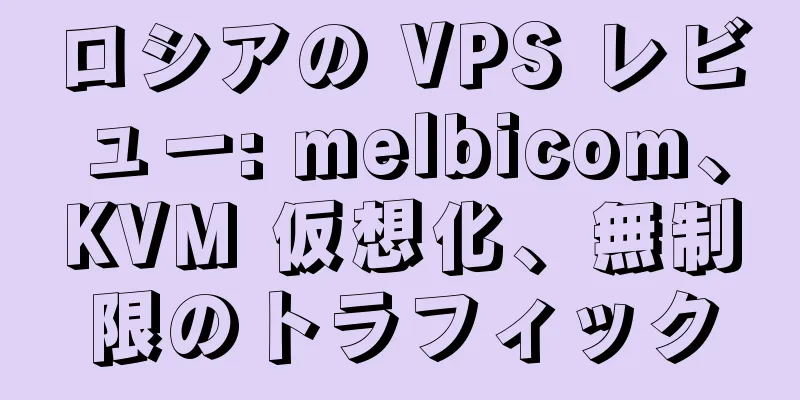ロシアの VPS レビュー: melbicom、KVM 仮想化、無制限のトラフィック