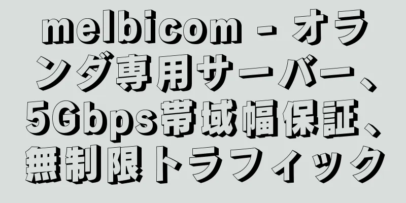 melbicom - オランダ専用サーバー、5Gbps帯域幅保証、無制限トラフィック