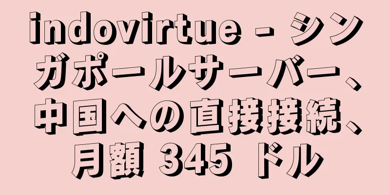 indovirtue - シンガポールサーバー、中国への直接接続、月額 345 ドル