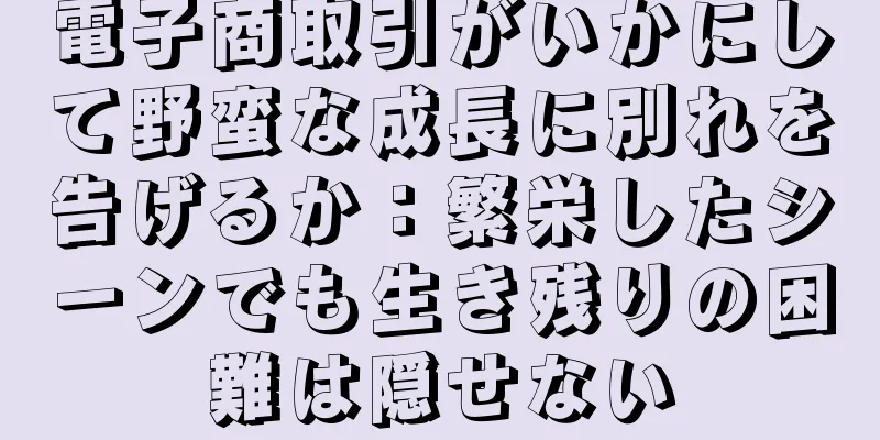 電子商取引がいかにして野蛮な成長に別れを告げるか：繁栄したシーンでも生き残りの困難は隠せない