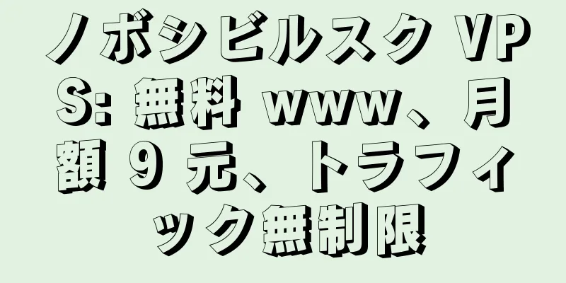ノボシビルスク VPS: 無料 www、月額 9 元、トラフィック無制限