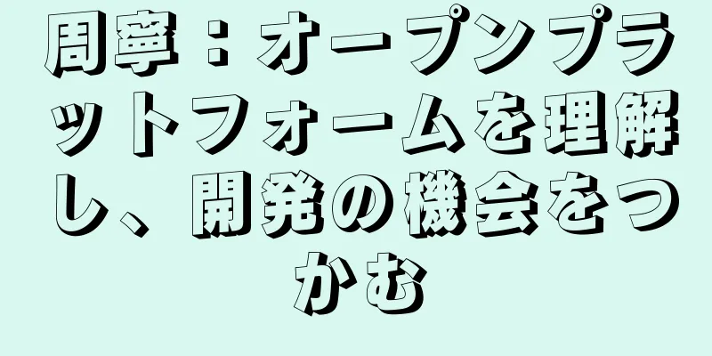 周寧：オープンプラットフォームを理解し、開発の機会をつかむ