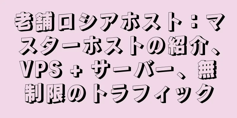 老舗ロシアホスト：マスターホストの紹介、VPS + サーバー、無制限のトラフィック