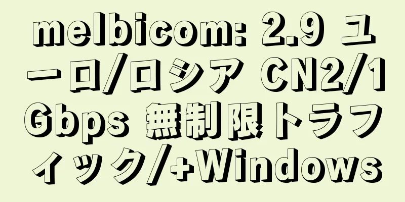melbicom: 2.9 ユーロ/ロシア CN2/1Gbps 無制限トラフィック/+Windows