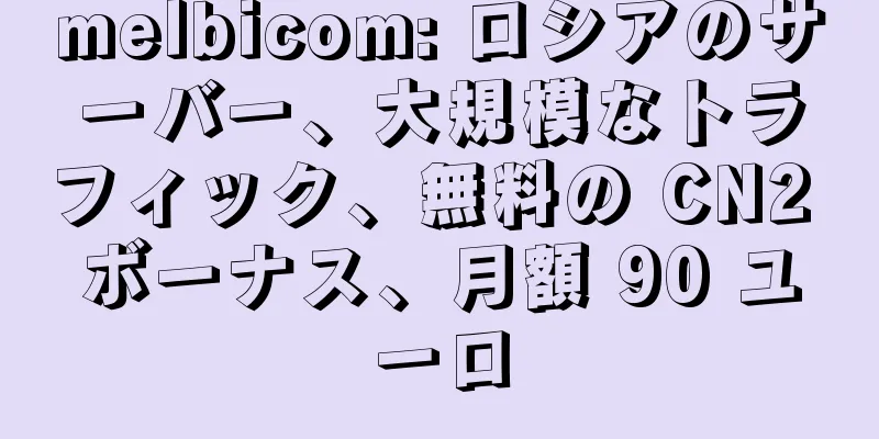 melbicom: ロシアのサーバー、大規模なトラフィック、無料の CN2 ボーナス、月額 90 ユーロ