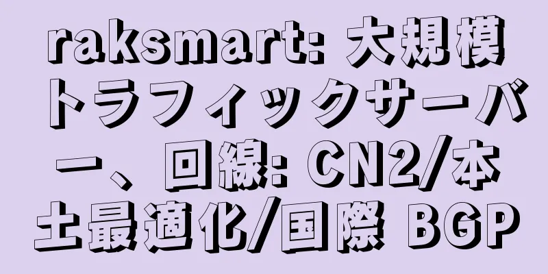 raksmart: 大規模トラフィックサーバー、回線: CN2/本土最適化/国際 BGP