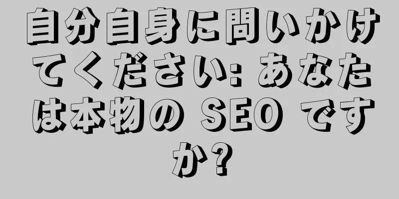 自分自身に問いかけてください: あなたは本物の SEO ですか?