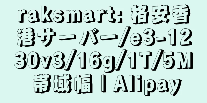 raksmart: 格安香港サーバー/e3-1230v3/16g/1T/5M 帯域幅 | Alipay