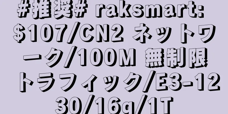 #推奨# raksmart: $107/CN2 ネットワーク/100M 無制限トラフィック/E3-1230/16g/1T