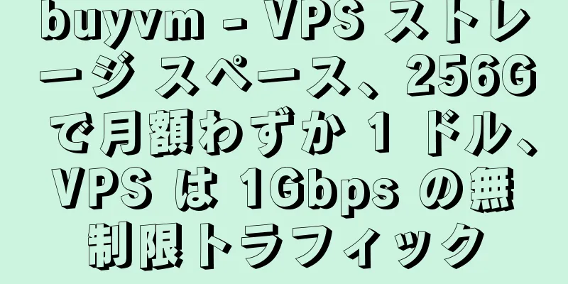 buyvm - VPS ストレージ スペース、256G で月額わずか 1 ドル、VPS は 1Gbps の無制限トラフィック