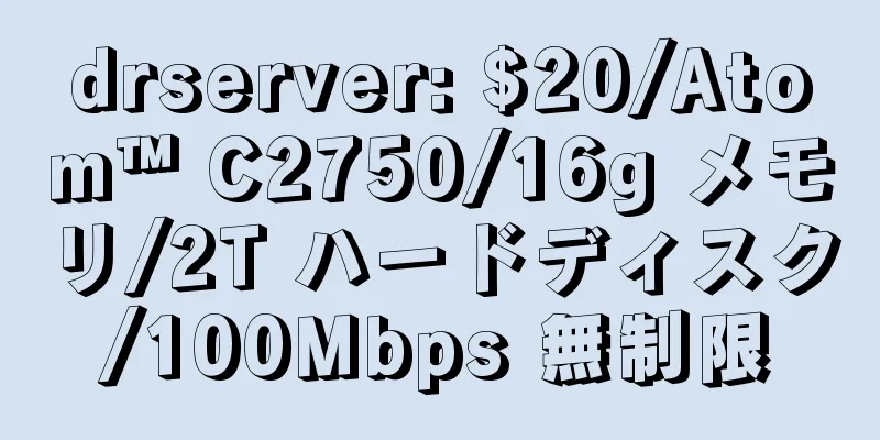 drserver: $20/Atom™ C2750/16g メモリ/2T ハードディスク/100Mbps 無制限