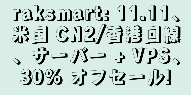 raksmart: 11.11、米国 CN2/香港回線、サーバー + VPS、30% オフセール!