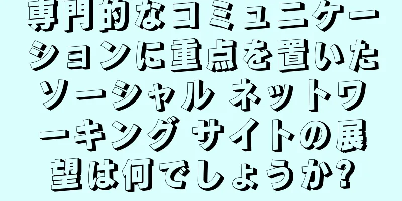 専門的なコミュニケーションに重点を置いたソーシャル ネットワーキング サイトの展望は何でしょうか?