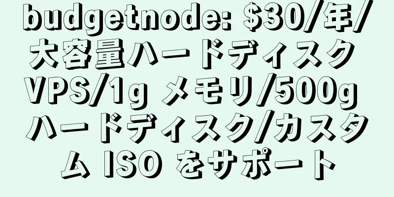budgetnode: $30/年/大容量ハードディスク VPS/1g メモリ/500g ハードディスク/カスタム ISO をサポート