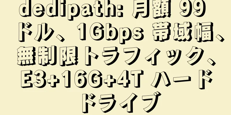 dedipath: 月額 99 ドル、1Gbps 帯域幅、無制限トラフィック、E3+16G+4T ハードドライブ