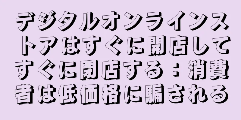 デジタルオンラインストアはすぐに開店してすぐに閉店する：消費者は低価格に騙される
