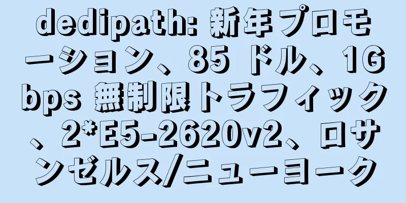 dedipath: 新年プロモーション、85 ドル、1Gbps 無制限トラフィック、2*E5-2620v2、ロサンゼルス/ニューヨーク