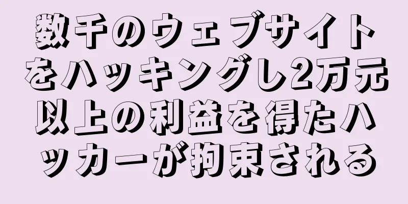 数千のウェブサイトをハッキングし2万元以上の利益を得たハッカーが拘束される
