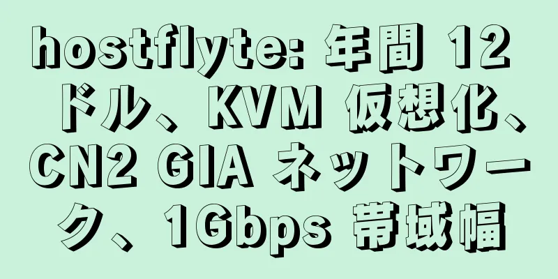 hostflyte: 年間 12 ドル、KVM 仮想化、CN2 GIA ネットワーク、1Gbps 帯域幅