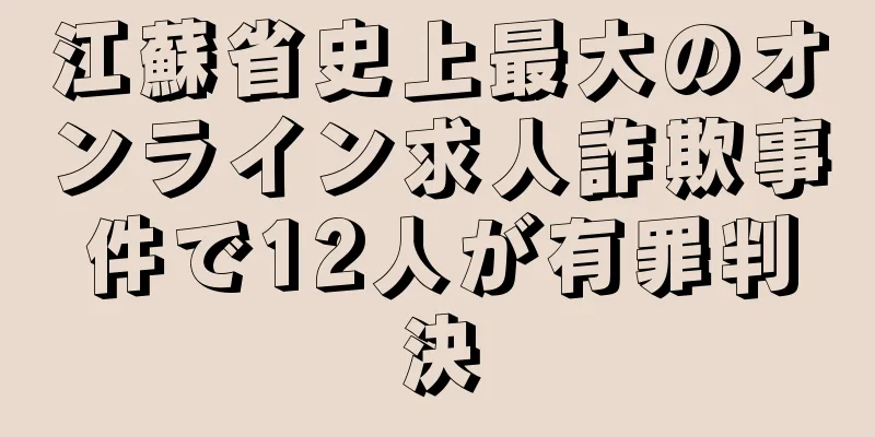 江蘇省史上最大のオンライン求人詐欺事件で12人が有罪判決