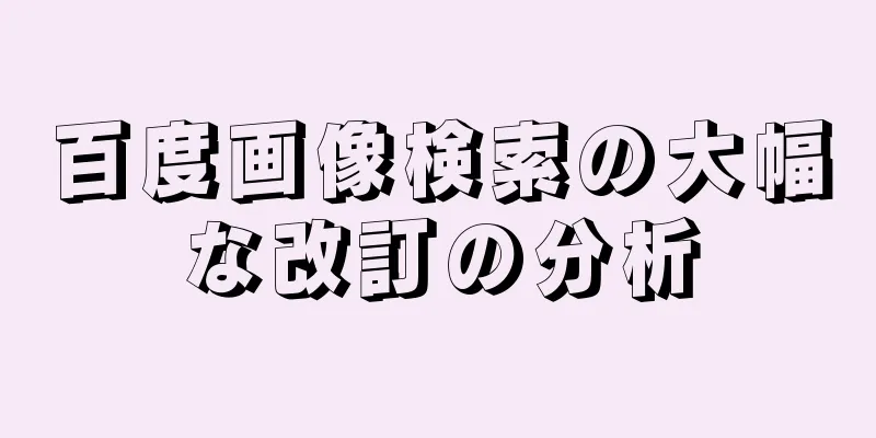 百度画像検索の大幅な改訂の分析