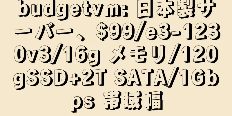 budgetvm: 日本製サーバー、$99/e3-1230v3/16g メモリ/120gSSD+2T SATA/1Gbps 帯域幅