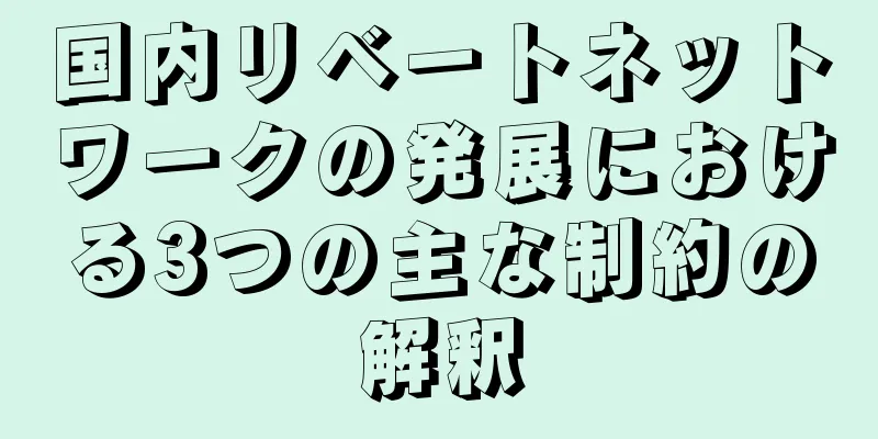 国内リベートネットワークの発展における3つの主な制約の解釈