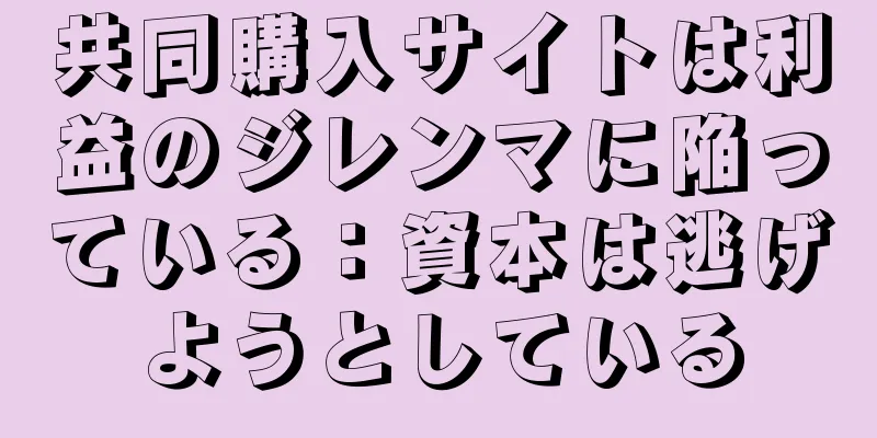 共同購入サイトは利益のジレンマに陥っている：資本は逃げようとしている