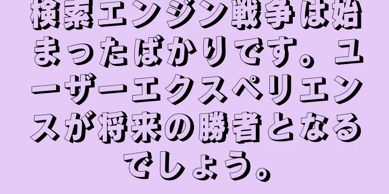 検索エンジン戦争は始まったばかりです。ユーザーエクスペリエンスが将来の勝者となるでしょう。