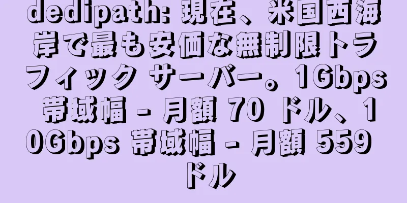 dedipath: 現在、米国西海岸で最も安価な無制限トラフィック サーバー。1Gbps 帯域幅 - 月額 70 ドル、10Gbps 帯域幅 - 月額 559 ドル
