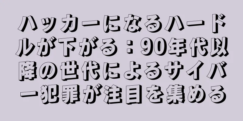 ハッカーになるハードルが下がる：90年代以降の世代によるサイバー犯罪が注目を集める