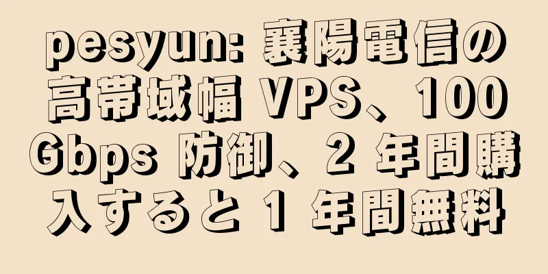 pesyun: 襄陽電信の高帯域幅 VPS、100Gbps 防御、2 年間購入すると 1 年間無料