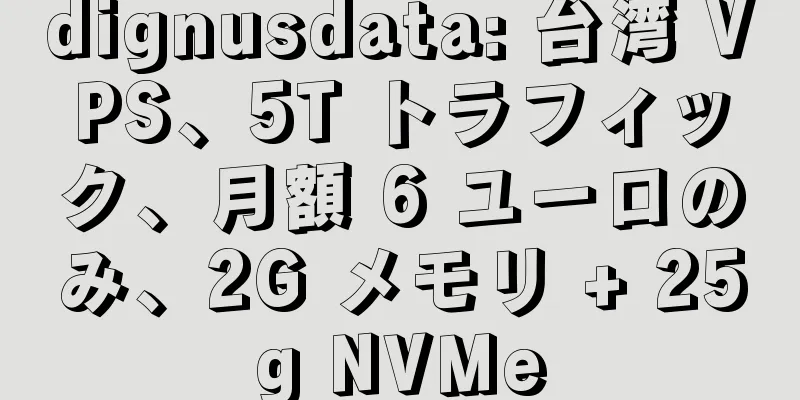 dignusdata: 台湾 VPS、5T トラフィック、月額 6 ユーロのみ、2G メモリ + 25g NVMe
