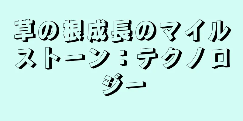 草の根成長のマイルストーン：テクノロジー